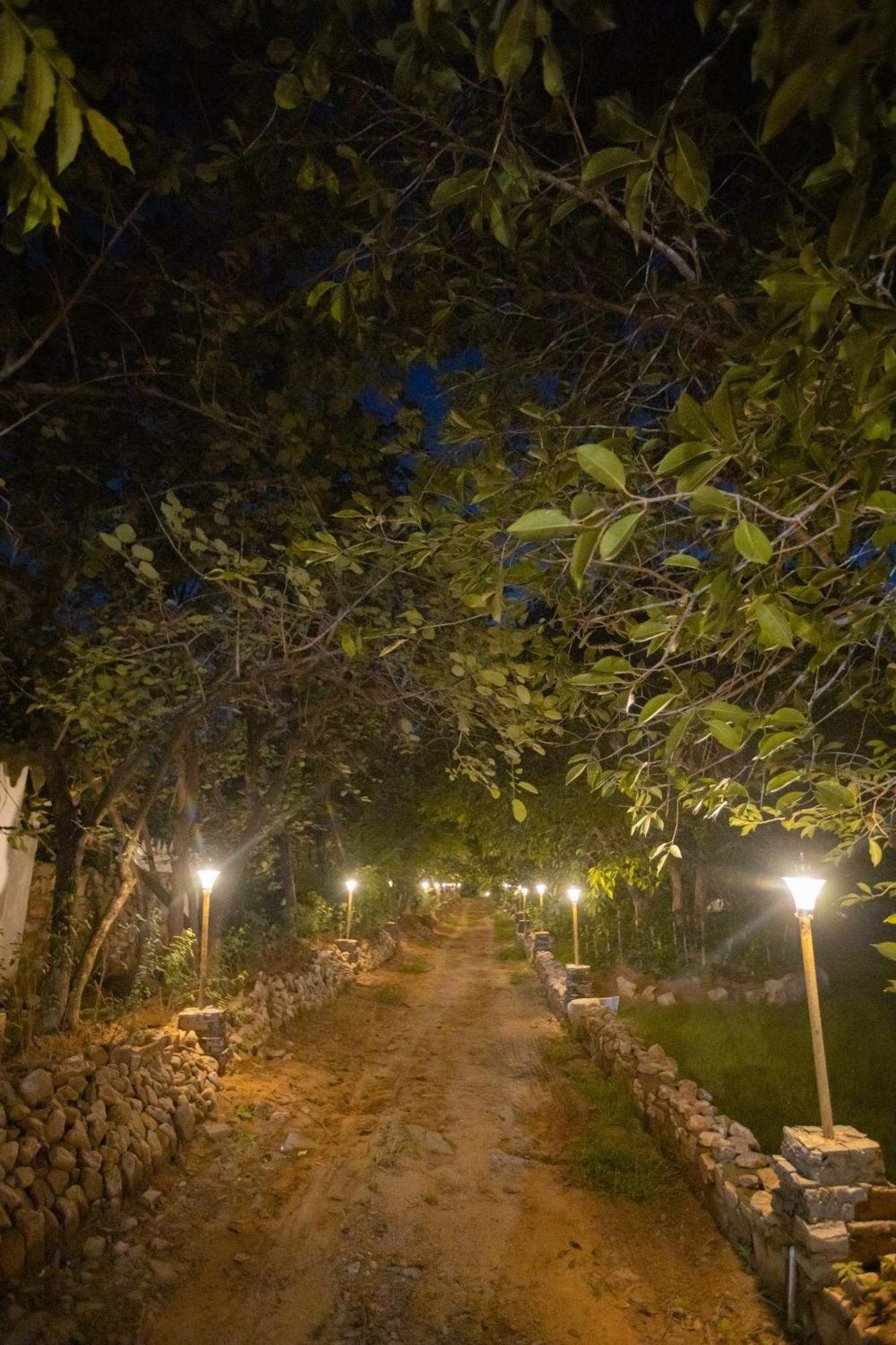 Nature Village Resort Пушкар Екстер'єр фото