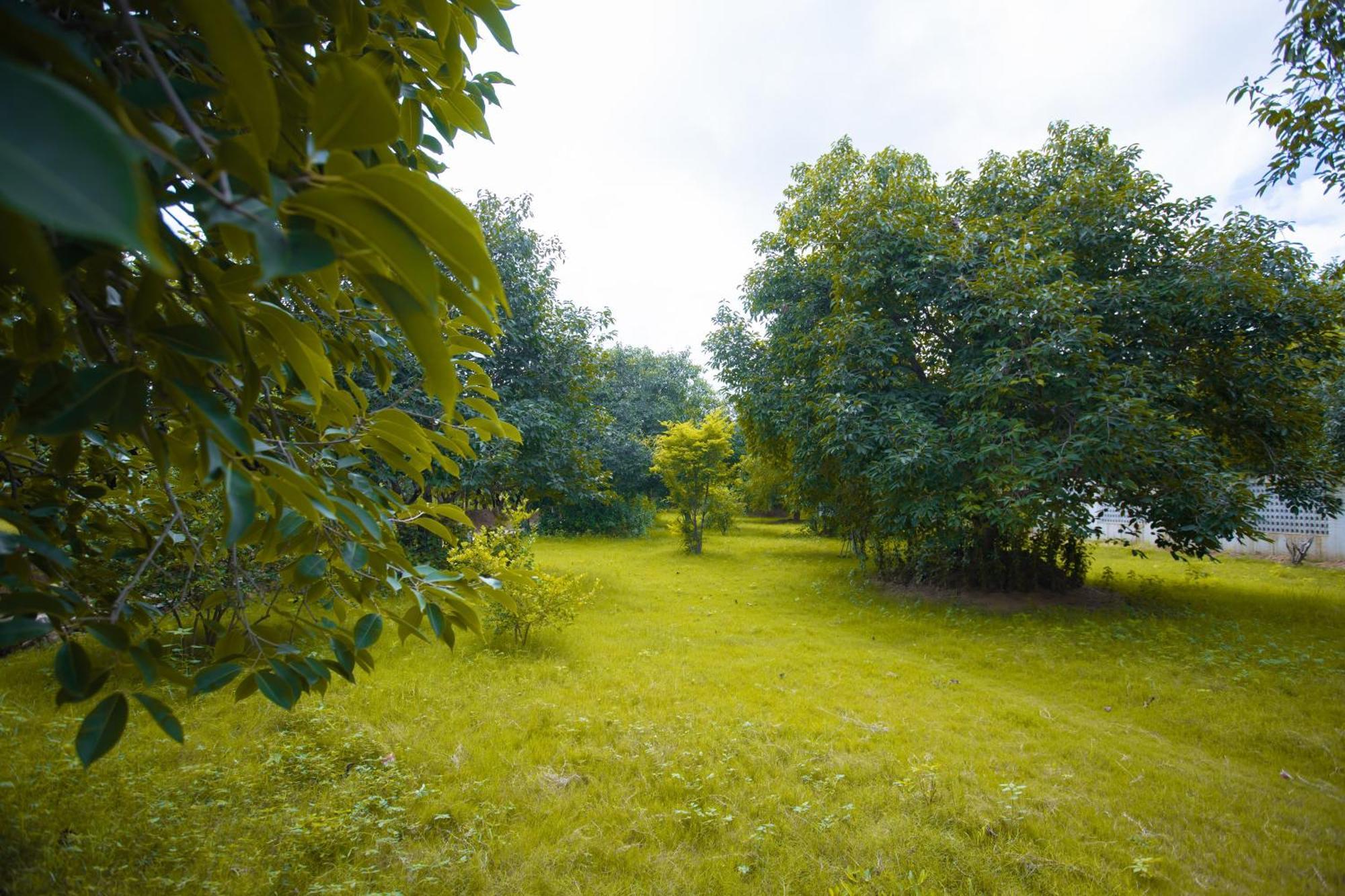 Nature Village Resort Пушкар Екстер'єр фото